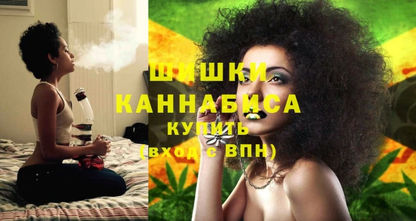 бошки Белокуриха